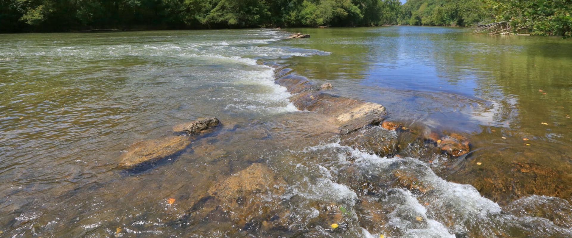 Discovering the Natural Wonders of Bartow County, Georgia