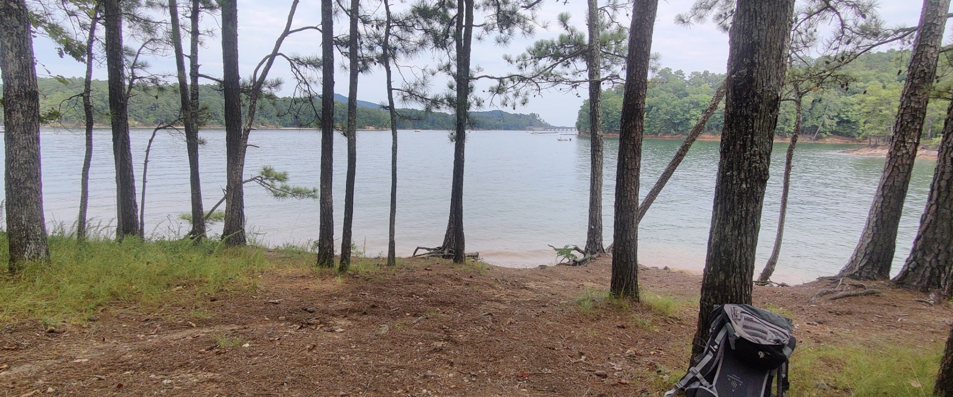 Exploring the Vibrant Culture of Bartow County, Georgia