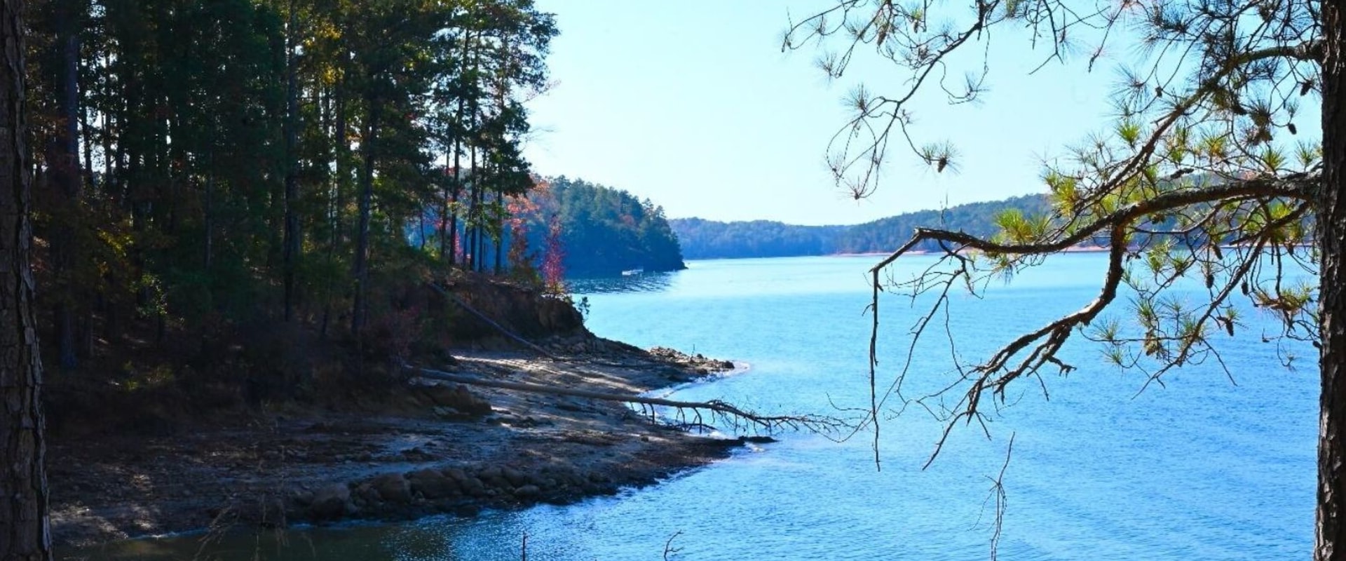Uncovering the Hidden Gems of Bartow County, Georgia