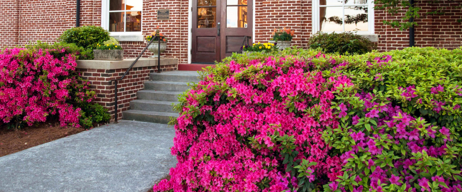 Exploring the Rich History and Culture of Bartow County, Georgia