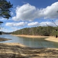 Discovering the Hidden Beauty of Bartow County, Georgia Through Scenic Drives