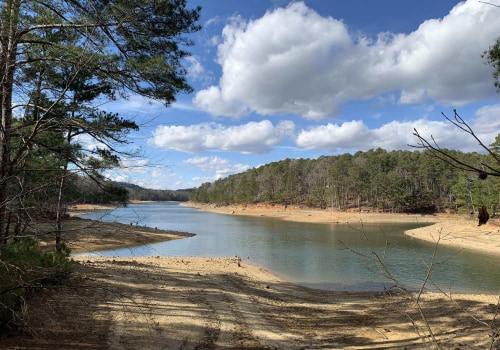 Discovering the Hidden Beauty of Bartow County, Georgia Through Scenic Drives