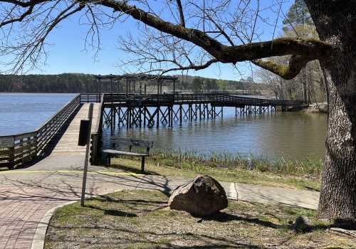 Uncovering the Wonders of Bartow County, Georgia